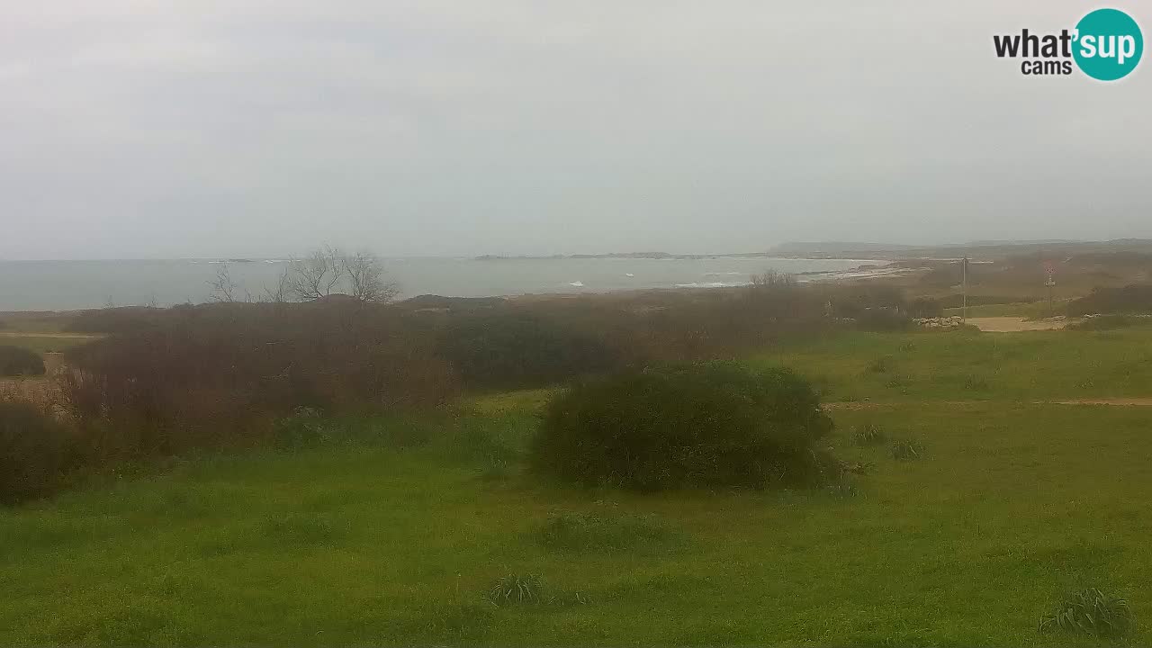 Playa Mari Ermi | Is Arutas – Oristano