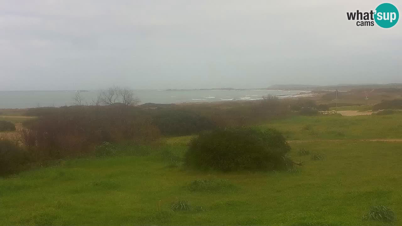 Plaža Mari Ermi | Is Arutas – Oristano