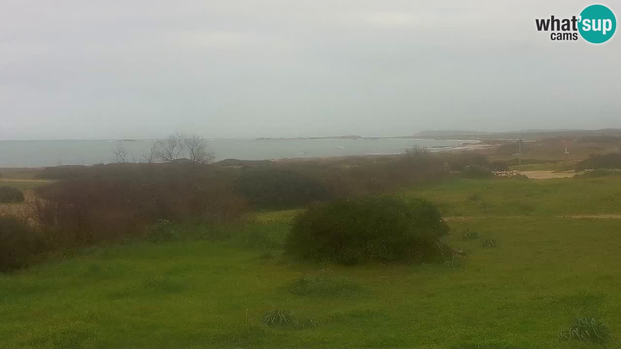 Plaža Mari Ermi | Is Arutas – Oristano