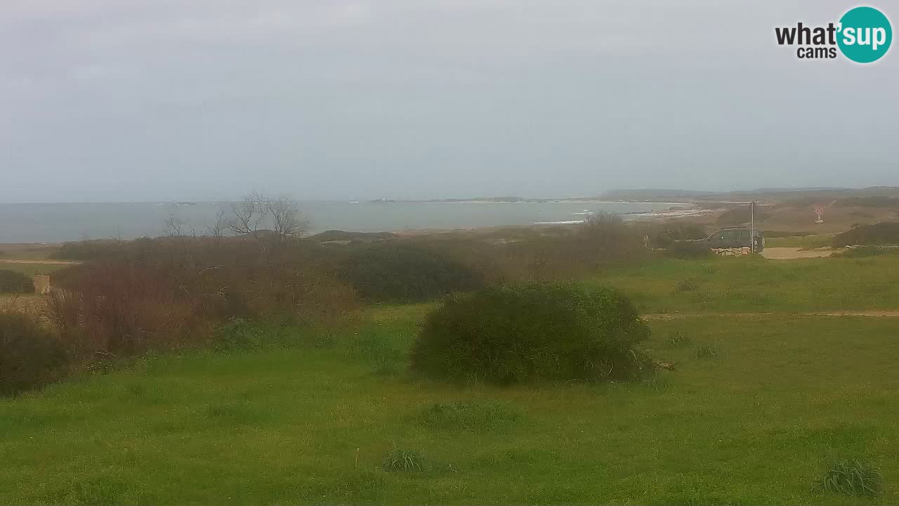 Plaža Mari Ermi | Is Arutas – Oristano