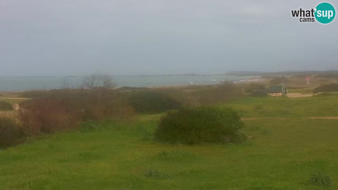 Plage Mari Ermi | Is Arutas – Oristano