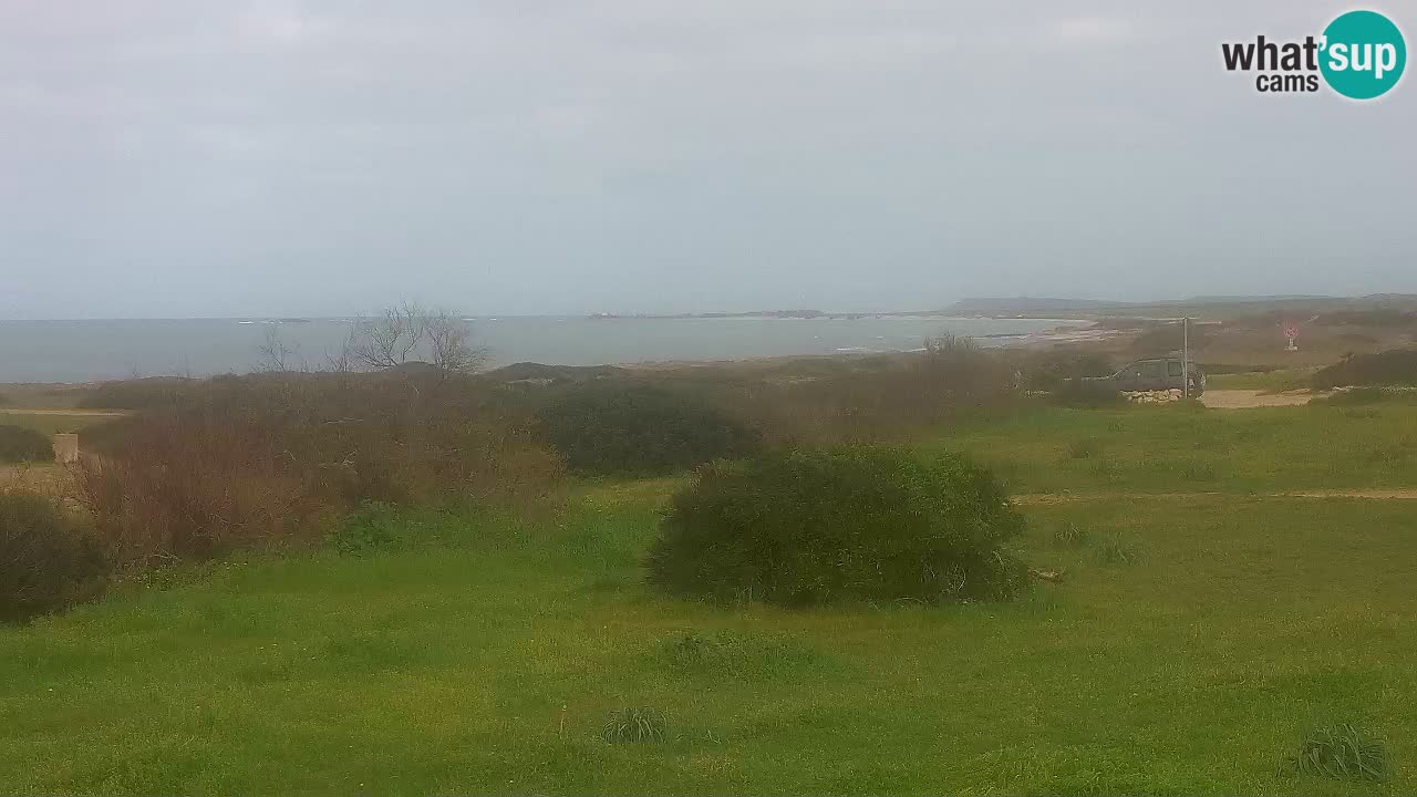 Mari Ermi Strand | Is Arutas – Oristano