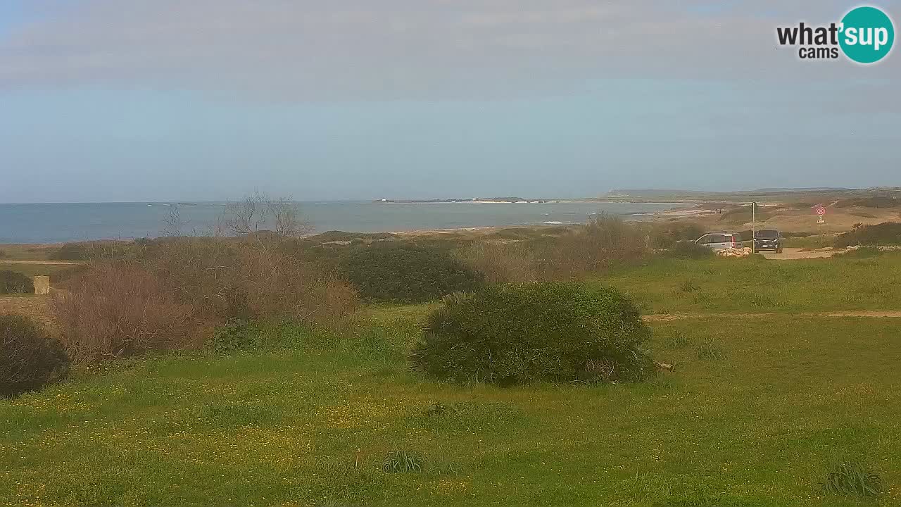 Plaža Mari Ermi | Is Arutas – Oristano