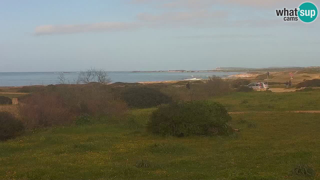 Mari Ermi Strand | Is Arutas – Oristano