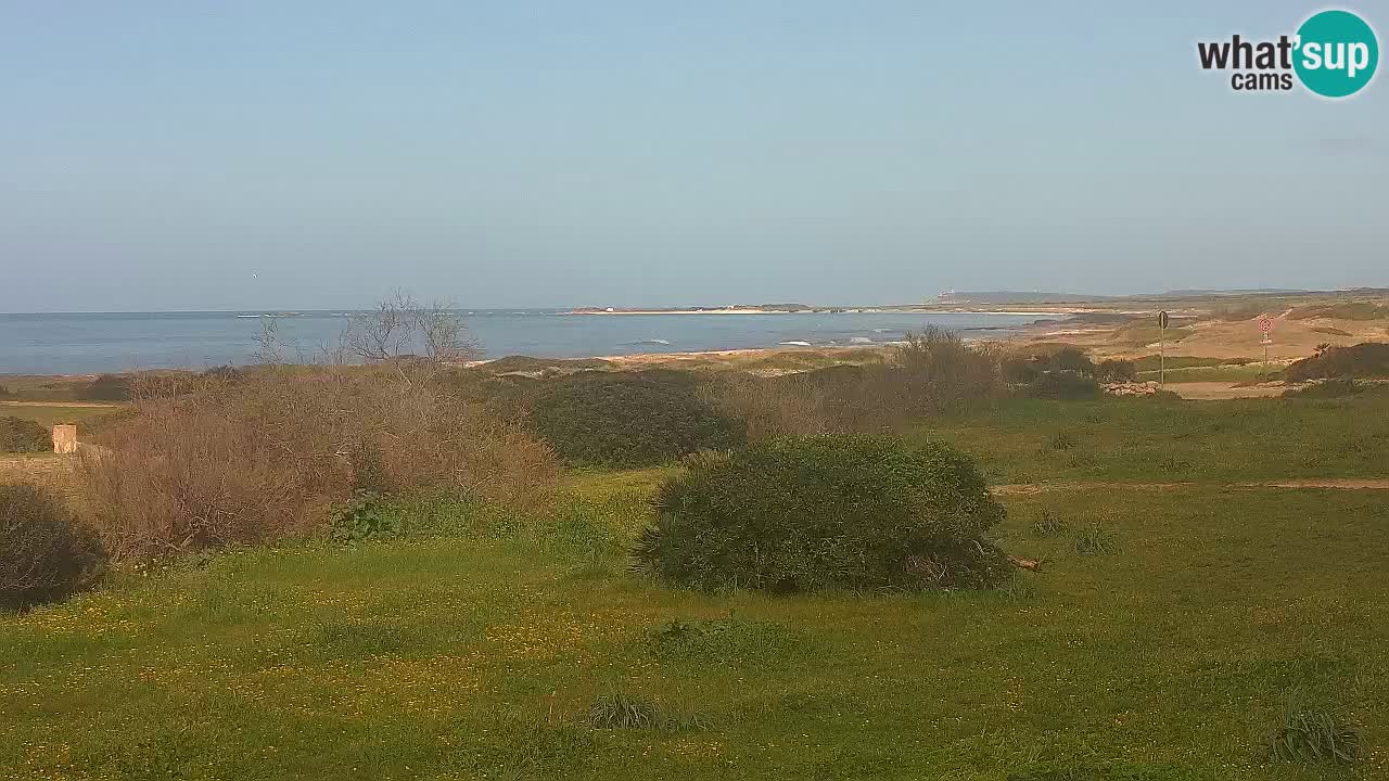 Playa Mari Ermi | Is Arutas – Oristano