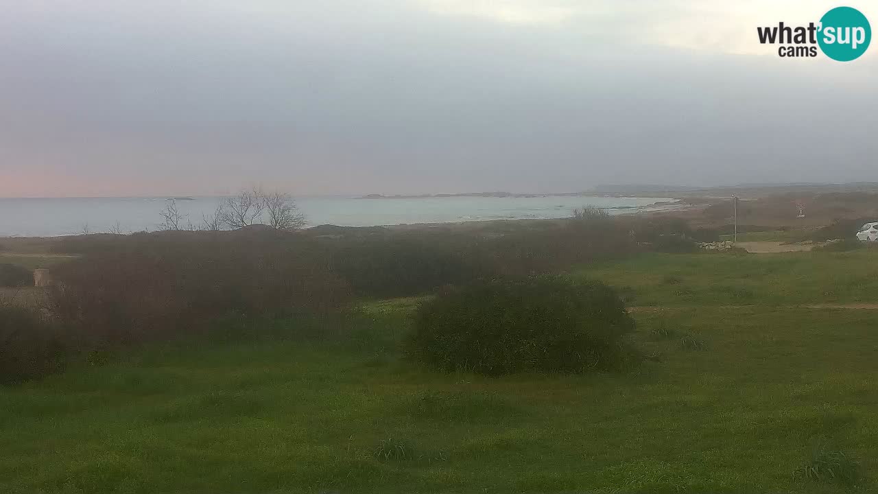 Mari Ermi Strand | Is Arutas – Oristano