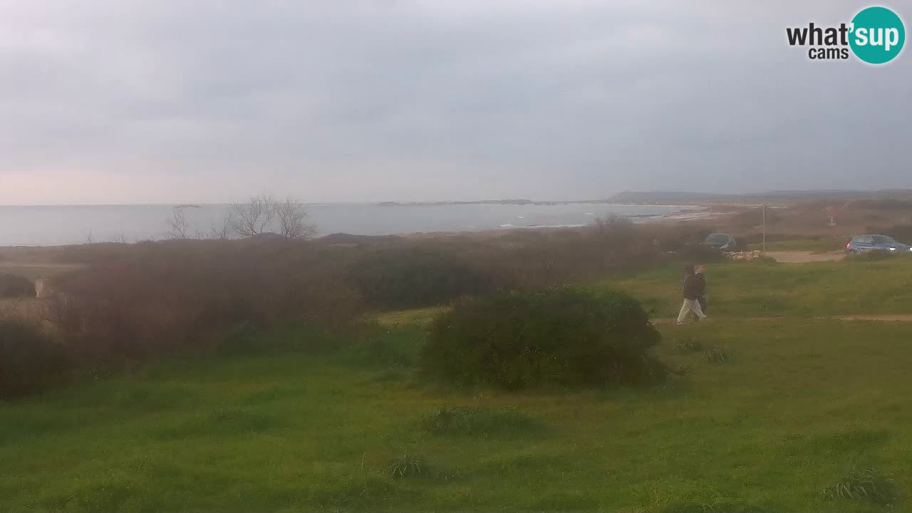 Mari Ermi Strand | Is Arutas – Oristano