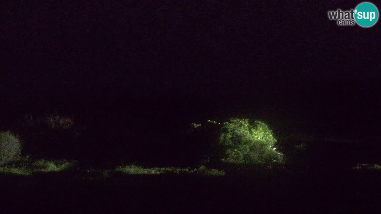 Mari Ermi beach | Is Arutas – Oristano