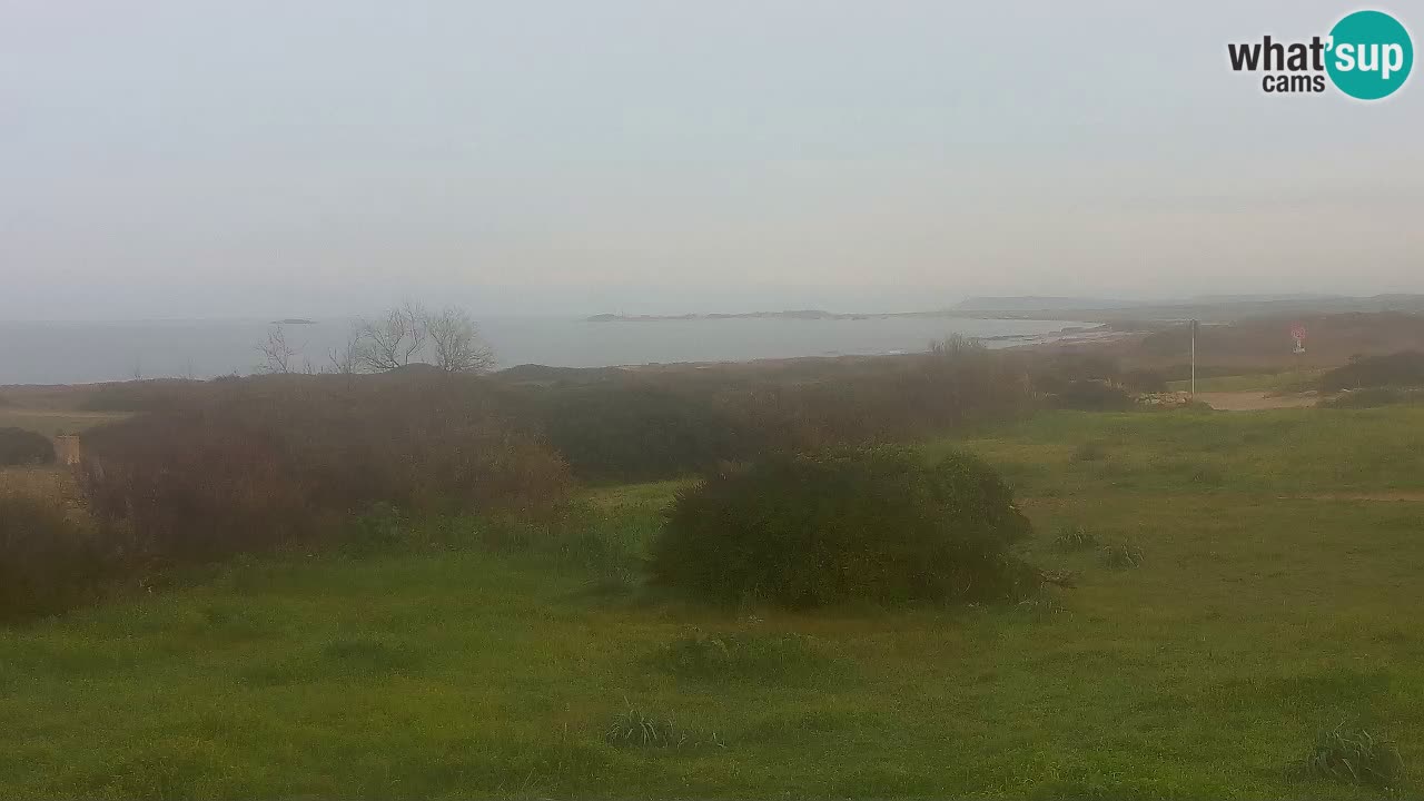 Mari Ermi beach | Is Arutas – Oristano