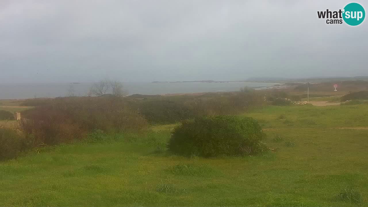 Plaža Mari Ermi | Is Arutas – Oristano