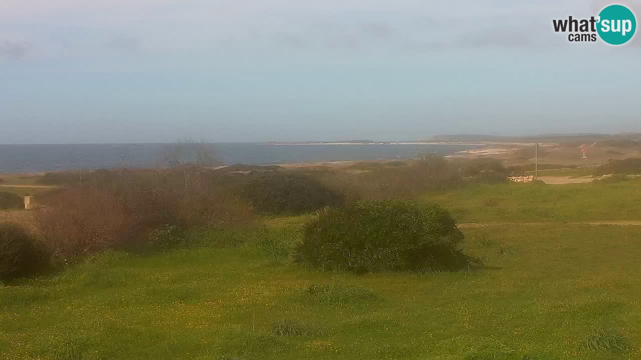 Mari Ermi beach | Is Arutas – Oristano