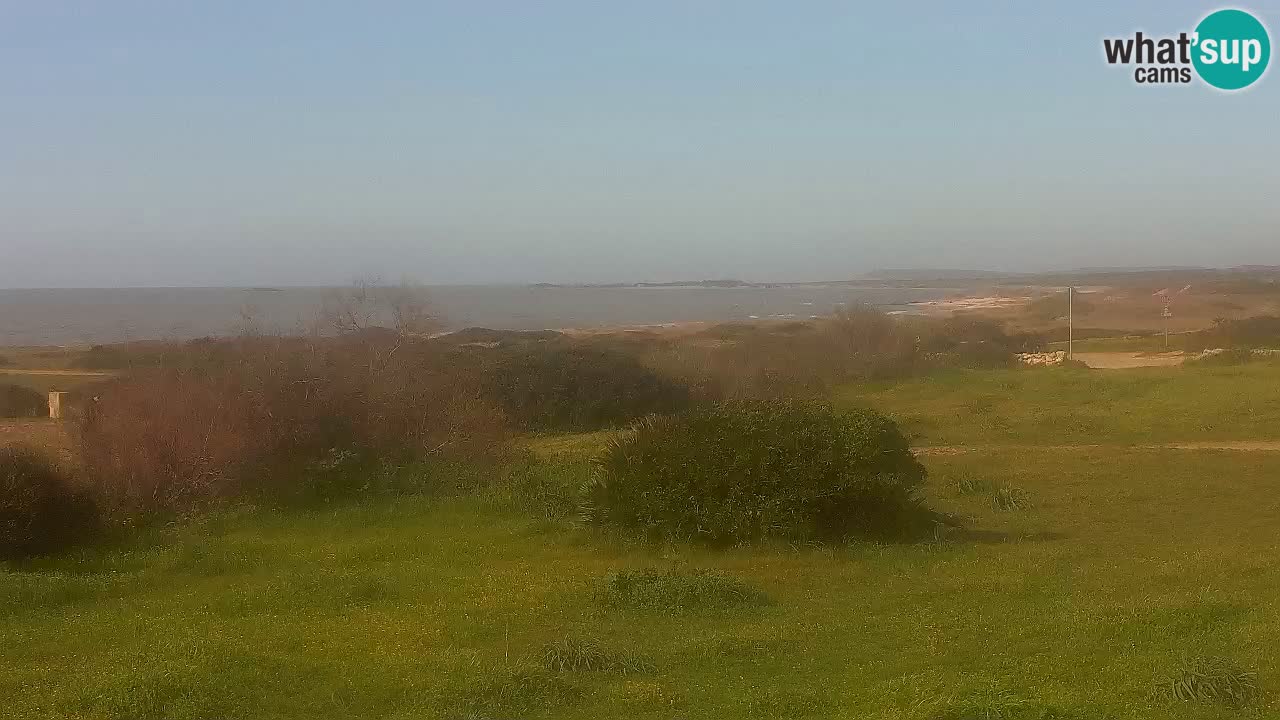 Plaža Mari Ermi | Is Arutas – Oristano