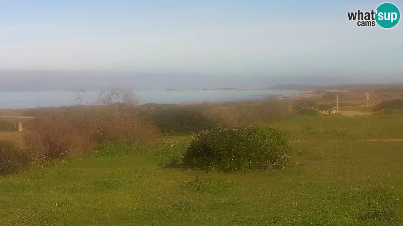Spiaggia Mari Ermi | Is Arutas – Oristano
