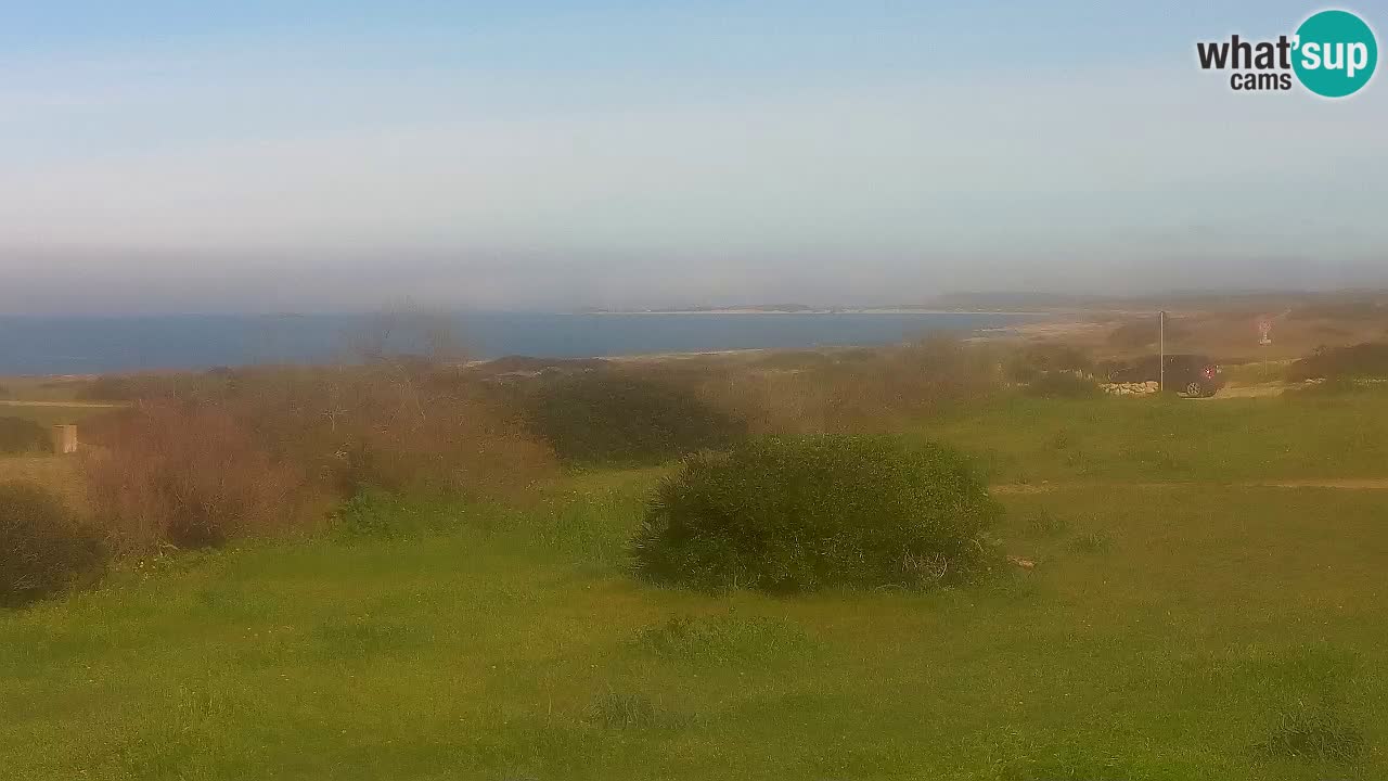 Plaža Mari Ermi | Is Arutas – Oristano