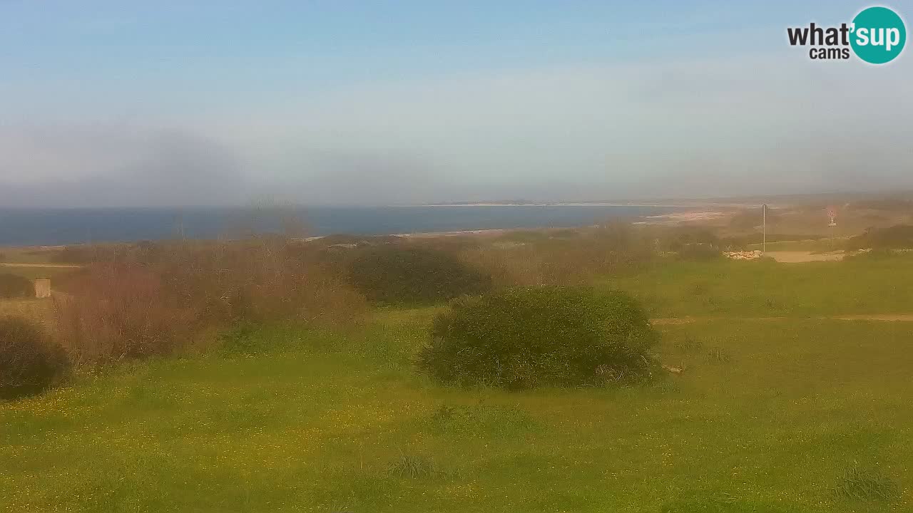 Mari Ermi beach | Is Arutas – Oristano