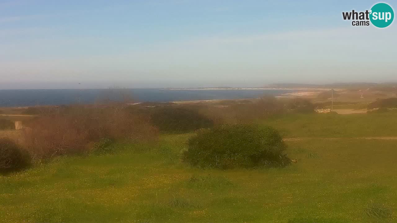Spiaggia Mari Ermi | Is Arutas – Oristano