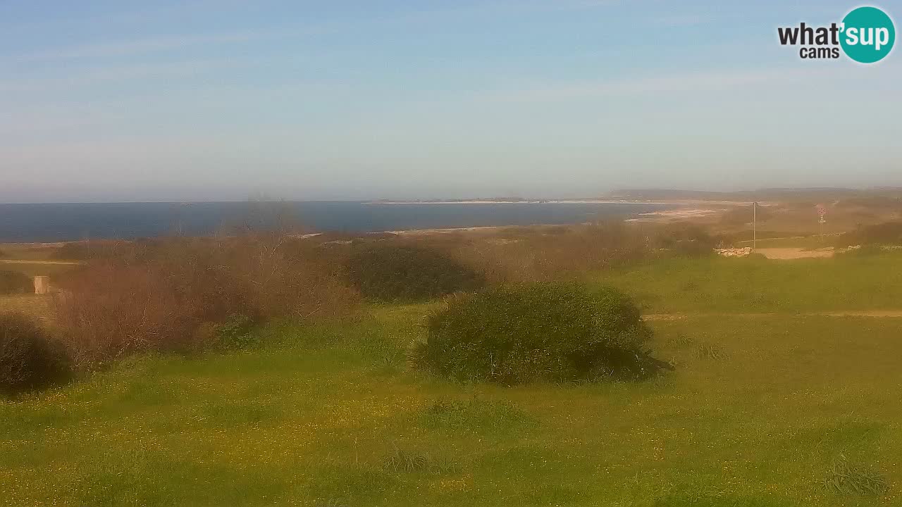 Plaža Mari Ermi | Is Arutas – Oristano