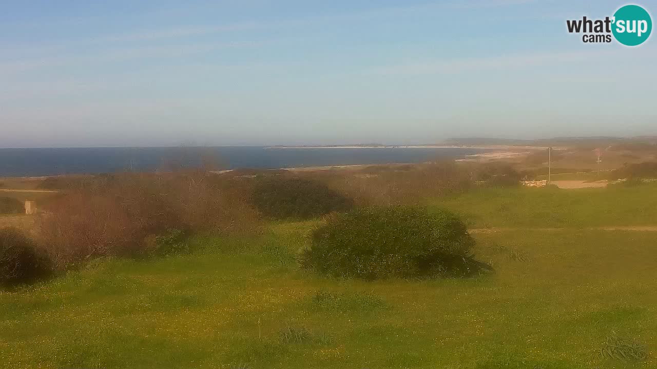 Mari Ermi Strand | Is Arutas – Oristano