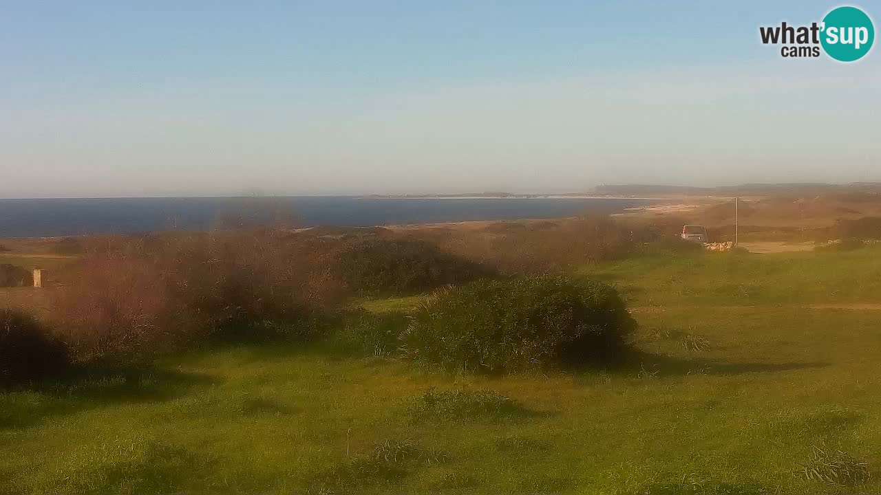 Playa Mari Ermi | Is Arutas – Oristano