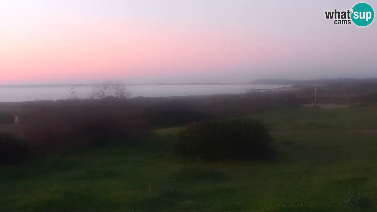 Plaža Mari Ermi | Is Arutas – Oristano