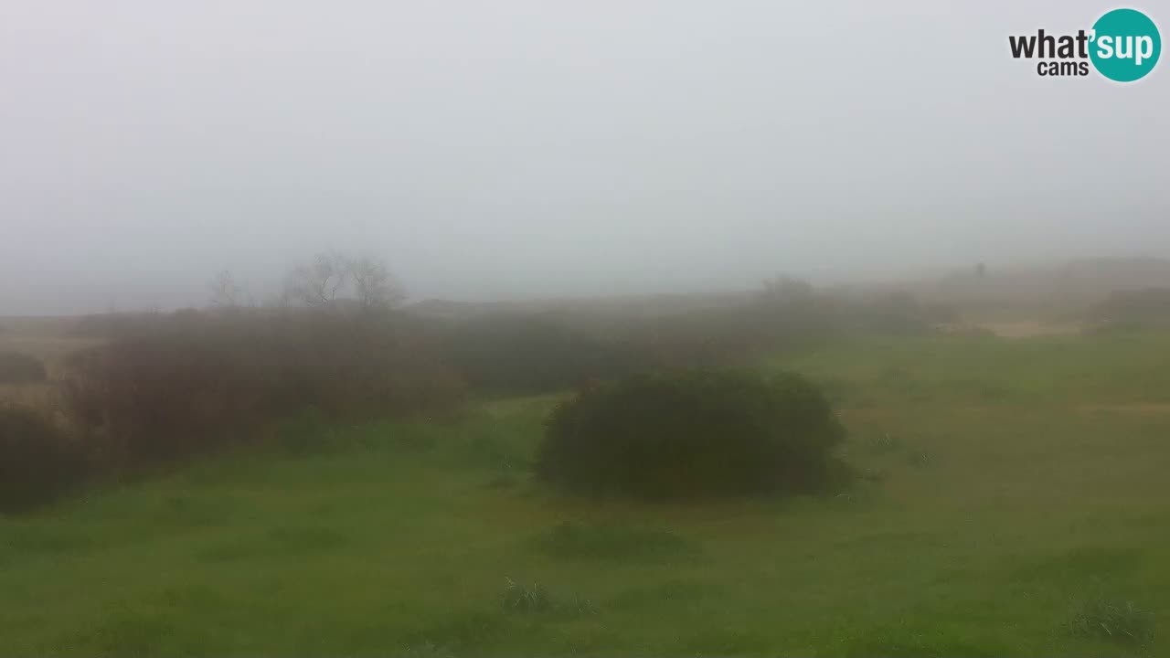 Plaža Mari Ermi | Is Arutas – Oristano