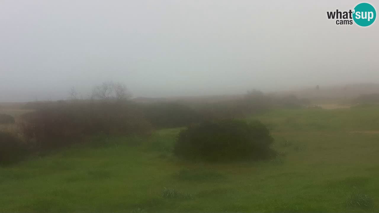 Mari Ermi Strand | Is Arutas – Oristano