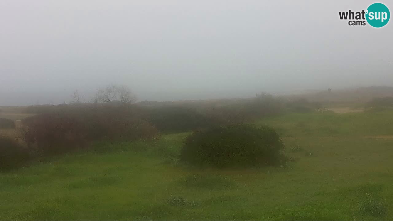 Mari Ermi beach | Is Arutas – Oristano