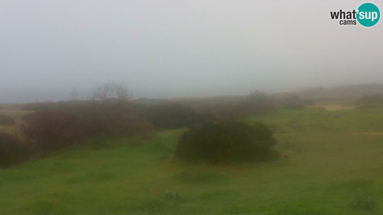 Playa Mari Ermi | Is Arutas – Oristano