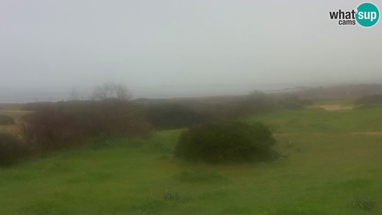 Spiaggia Mari Ermi | Is Arutas – Oristano