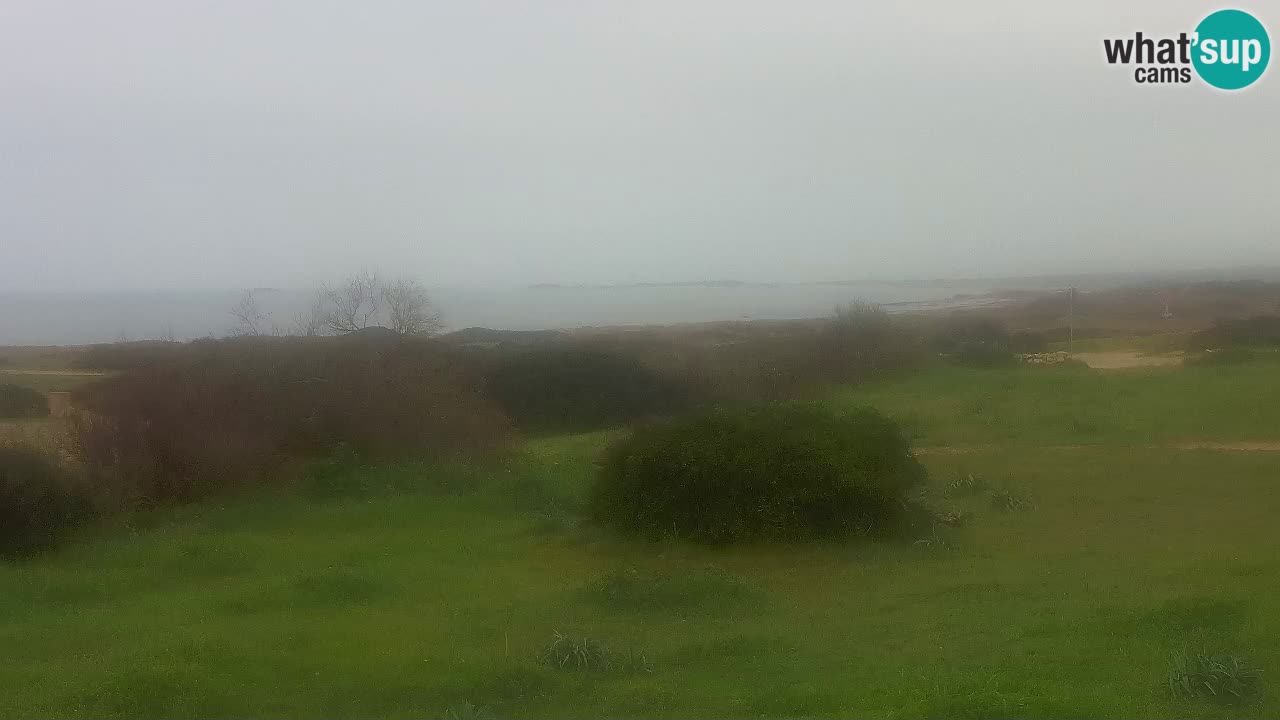 Mari Ermi Strand | Is Arutas – Oristano