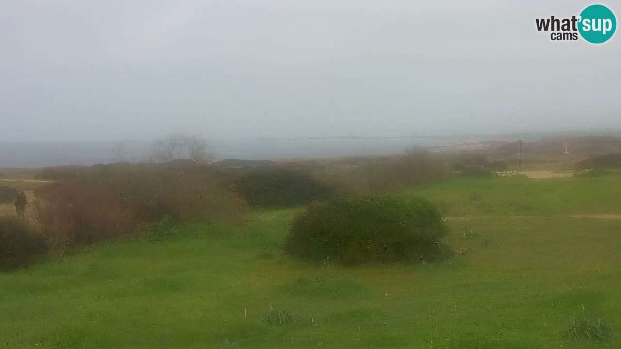 Plaža Mari Ermi | Is Arutas – Oristano