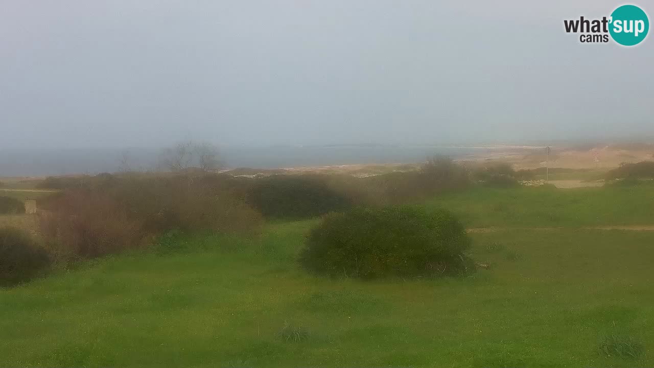 Plage Mari Ermi | Is Arutas – Oristano