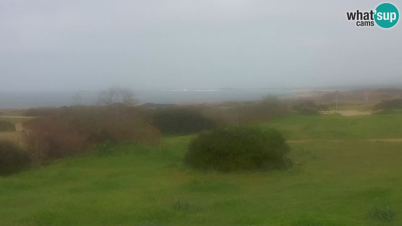 Playa Mari Ermi | Is Arutas – Oristano