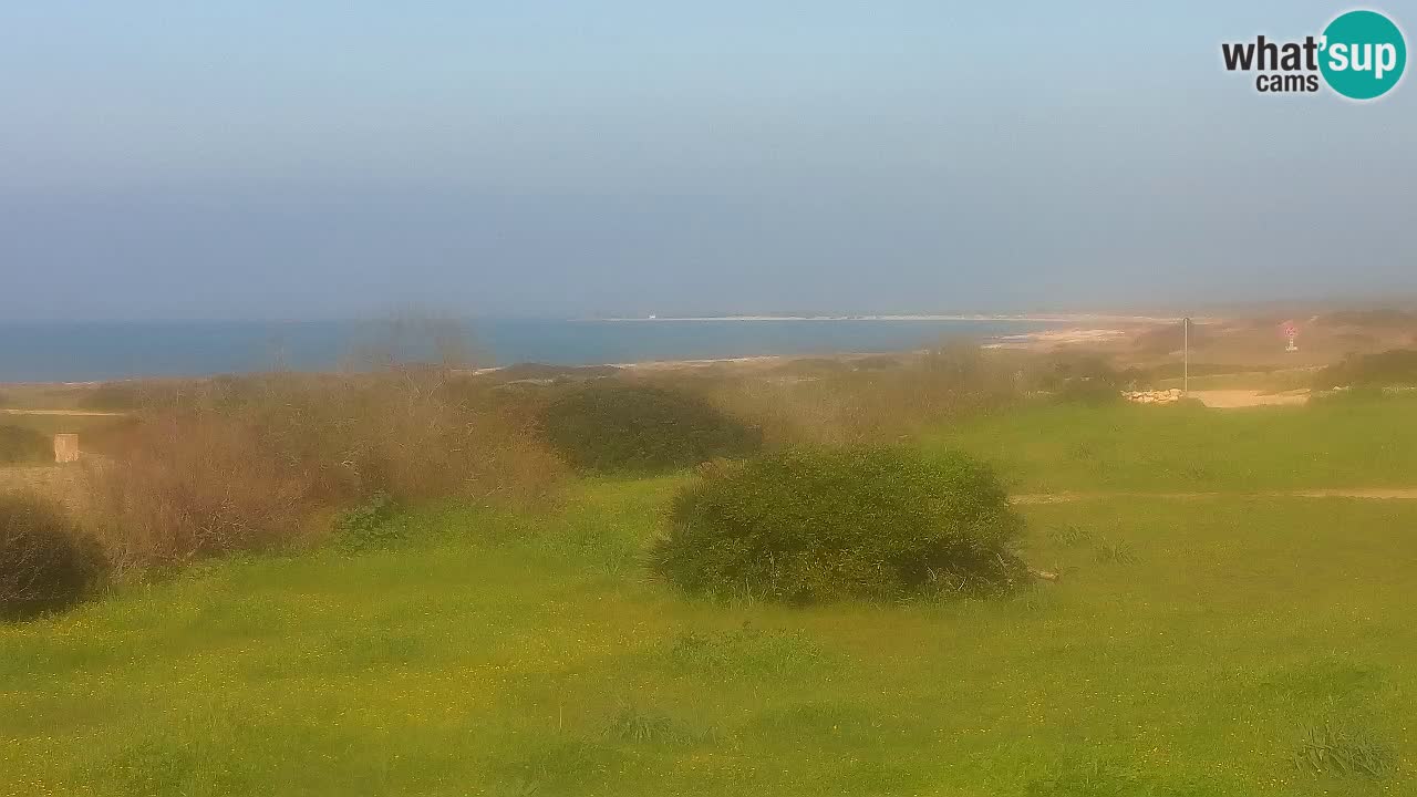 Plage Mari Ermi | Is Arutas – Oristano