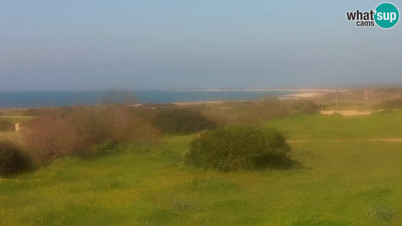 Plage Mari Ermi | Is Arutas – Oristano