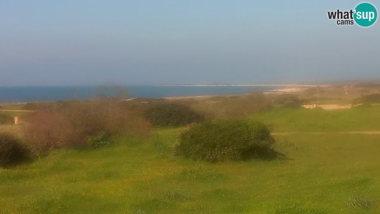 Spiaggia Mari Ermi | Is Arutas – Oristano
