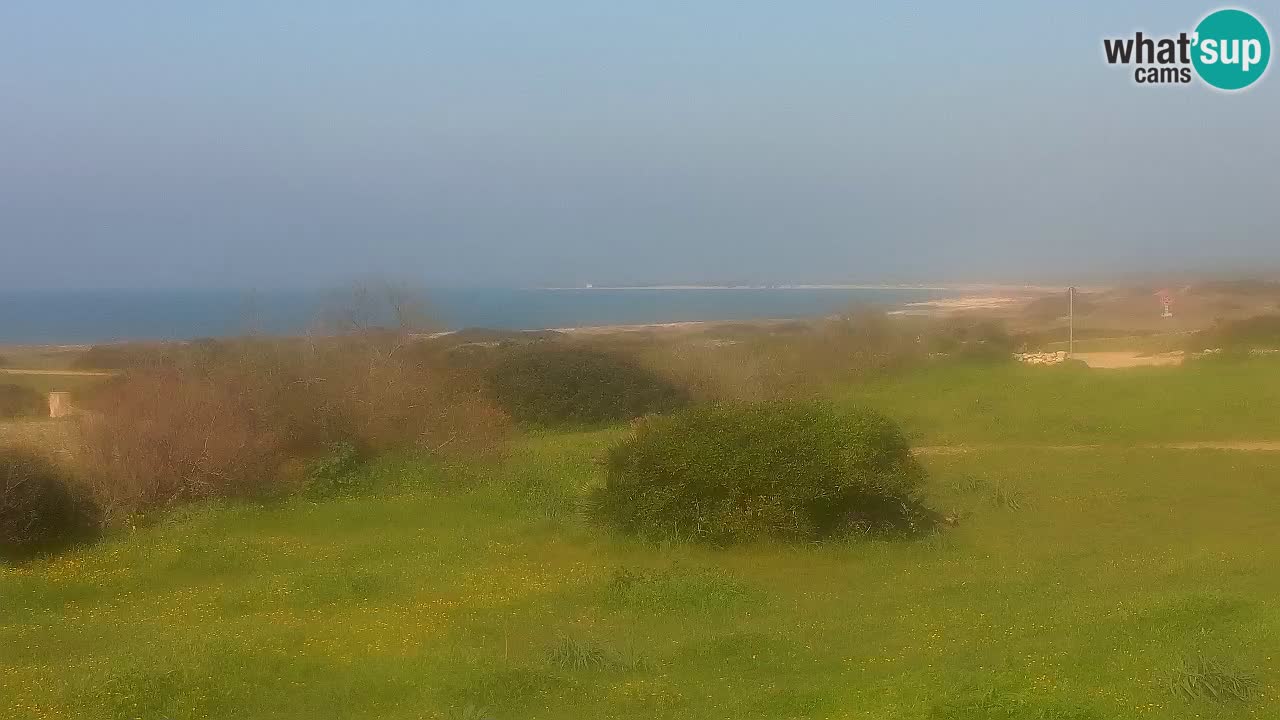 Plage Mari Ermi | Is Arutas – Oristano