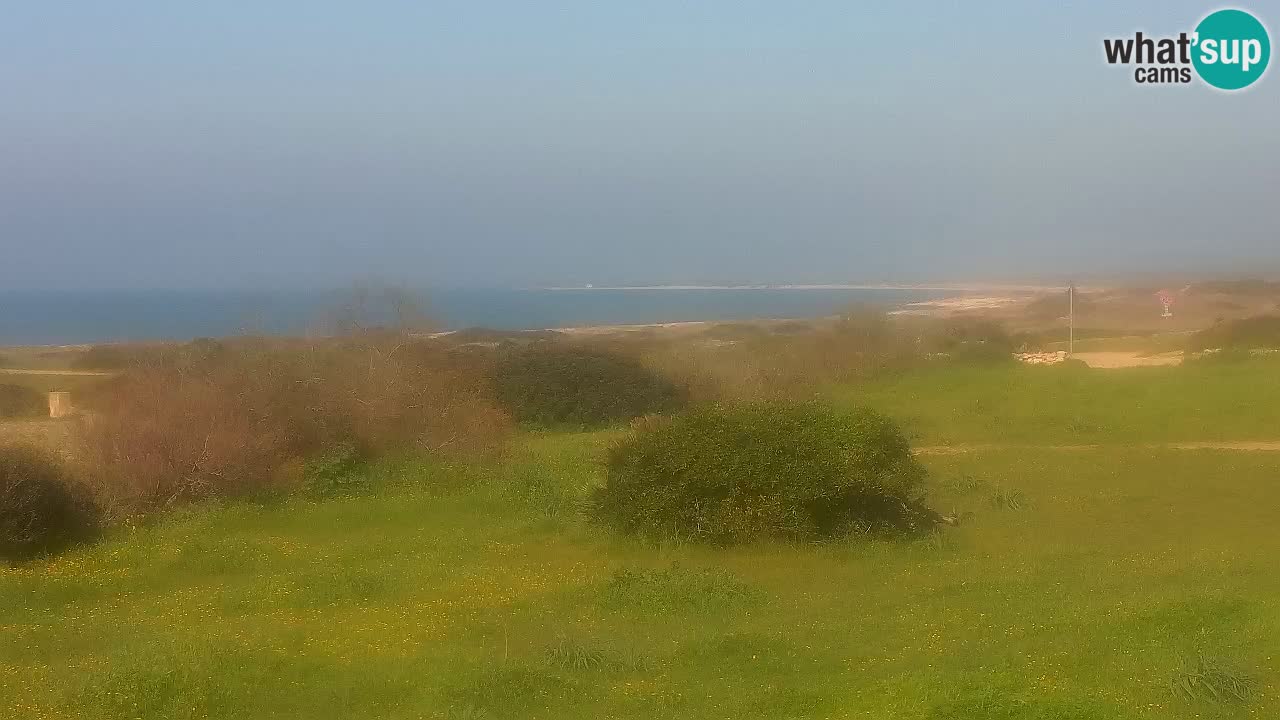 Mari Ermi Strand | Is Arutas – Oristano