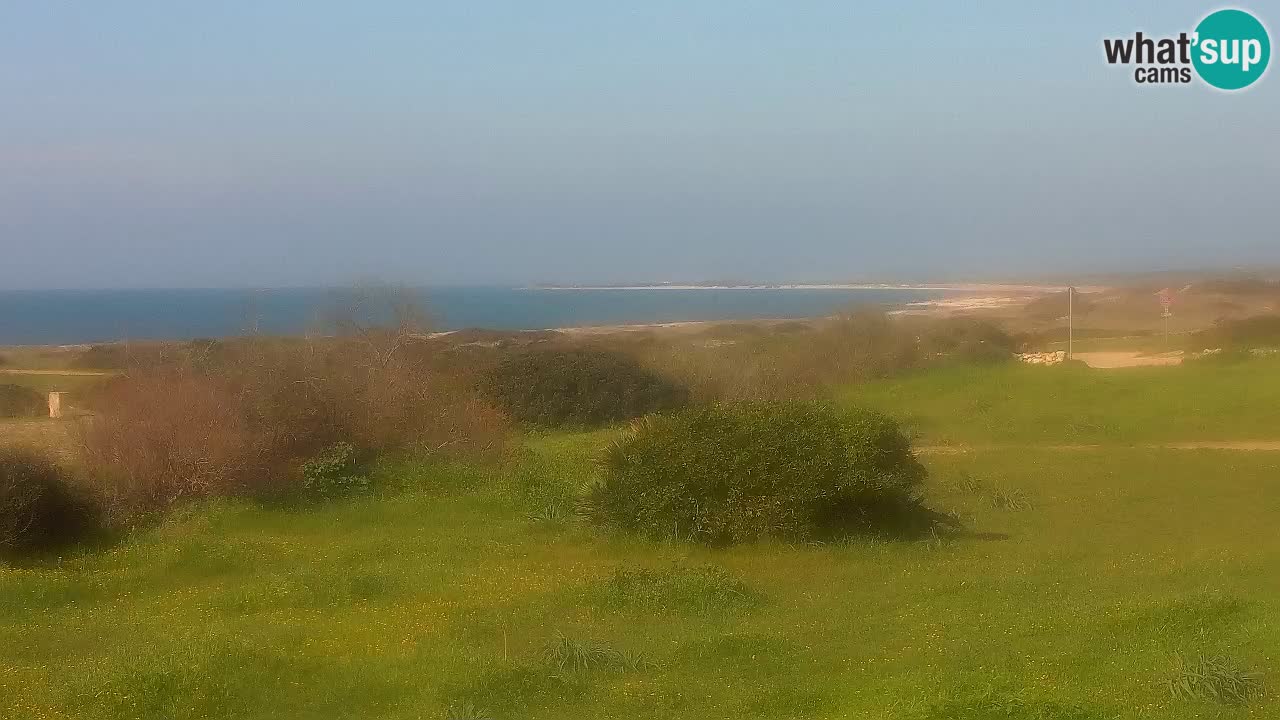 Plaža Mari Ermi | Is Arutas – Oristano