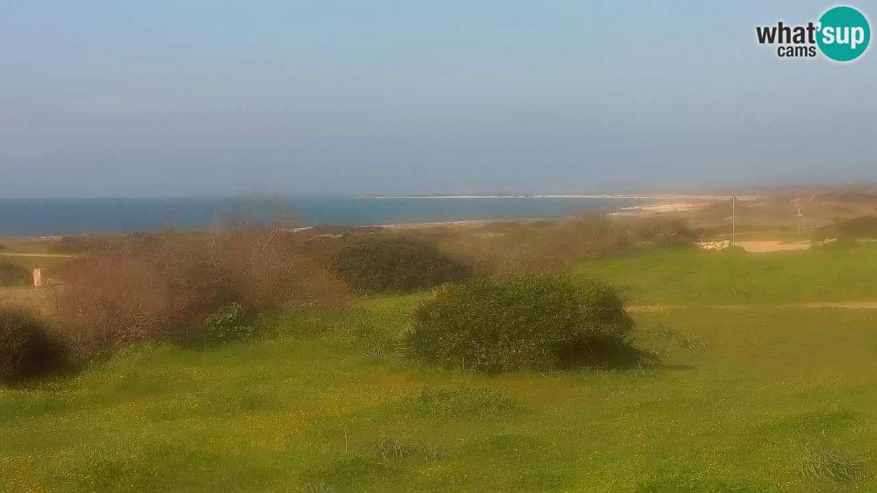 Mari Ermi Strand | Is Arutas – Oristano