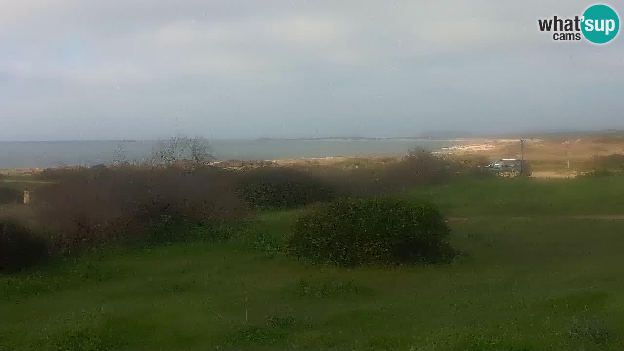 Playa Mari Ermi | Is Arutas – Oristano