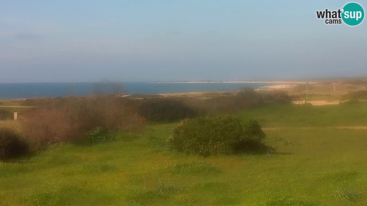 Mari Ermi beach | Is Arutas – Oristano