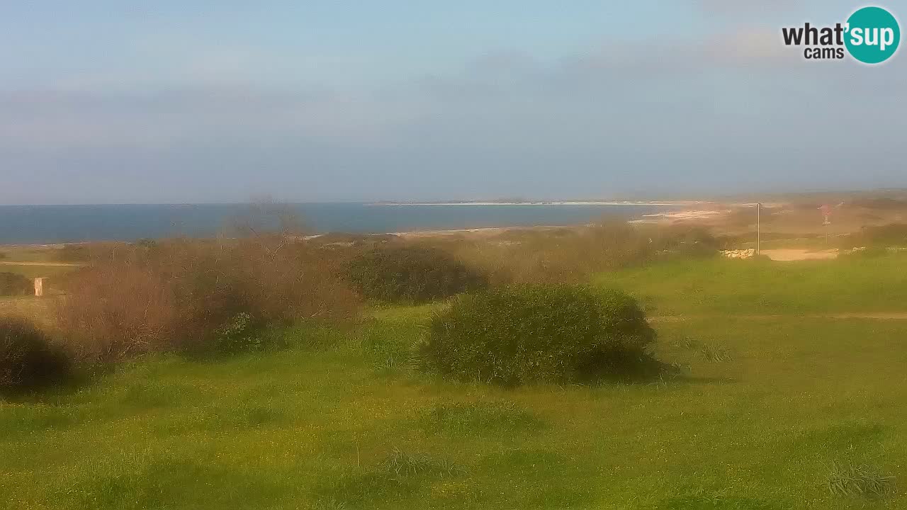 Mari Ermi beach | Is Arutas – Oristano