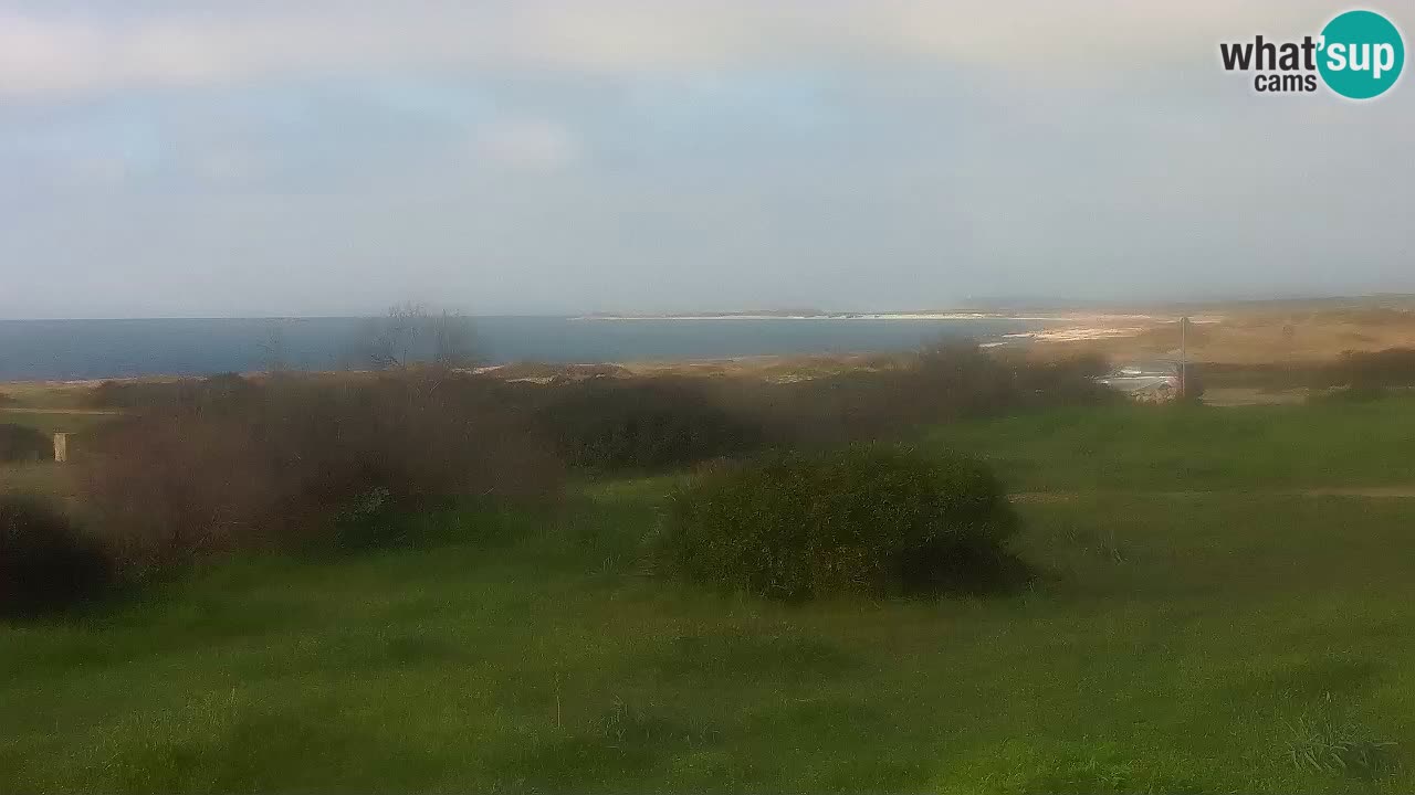 Plaža Mari Ermi | Is Arutas – Oristano