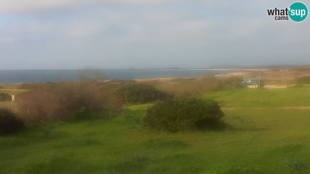 Playa Mari Ermi | Is Arutas – Oristano