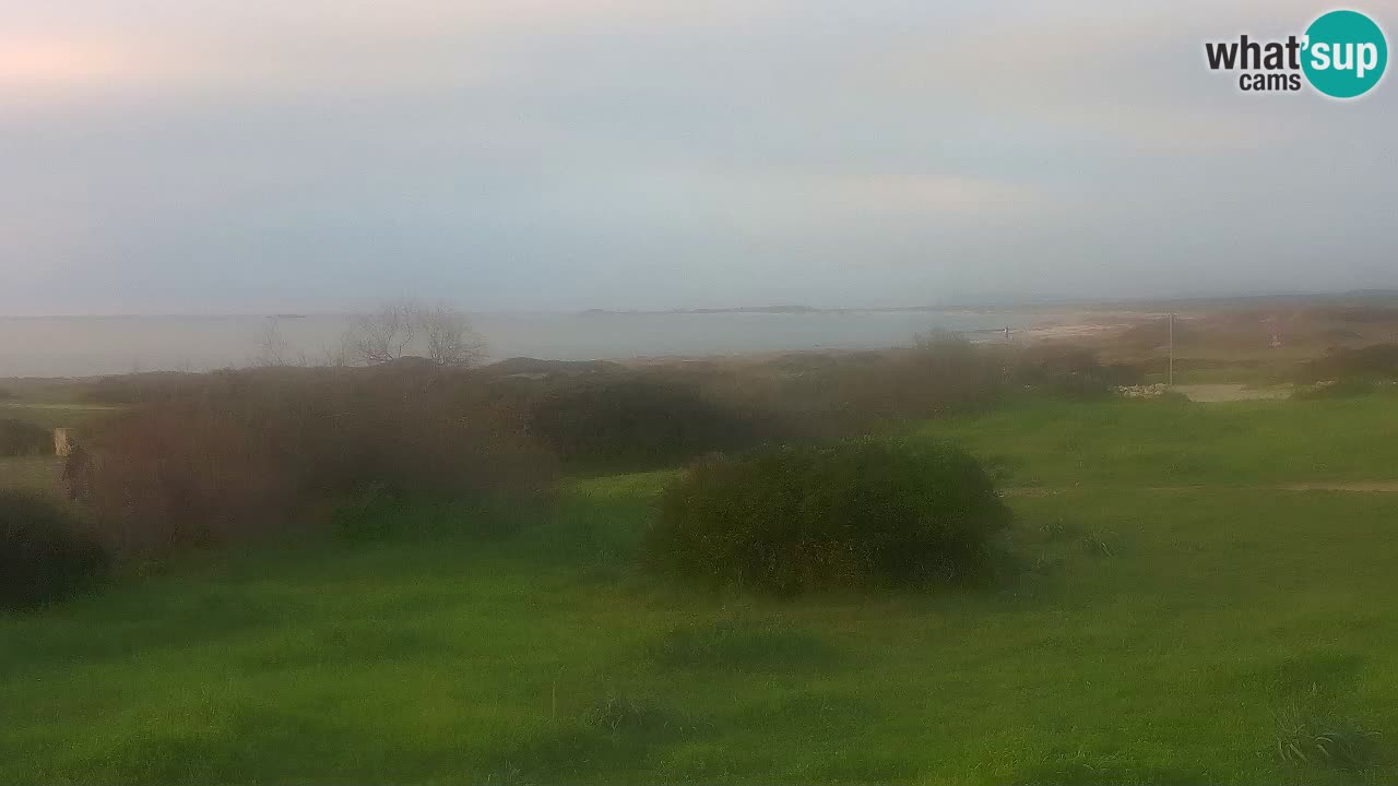 Mari Ermi Strand | Is Arutas – Oristano