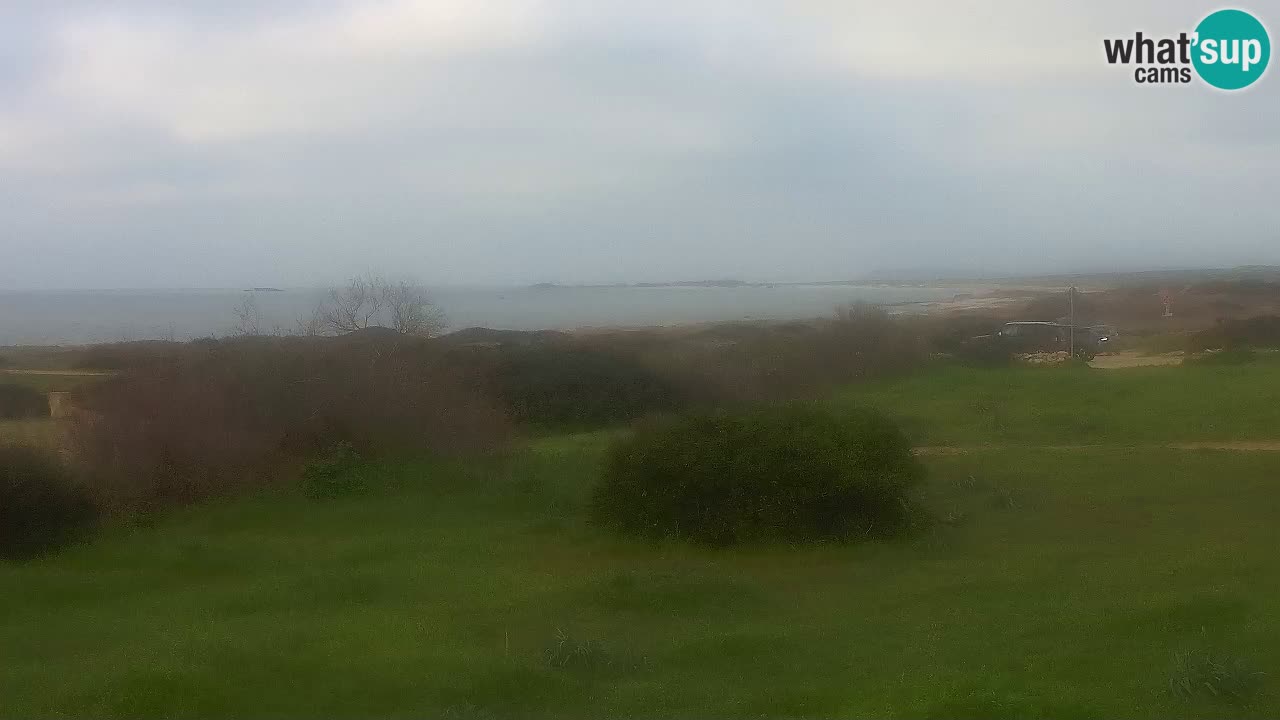 Spiaggia Mari Ermi | Is Arutas – Oristano