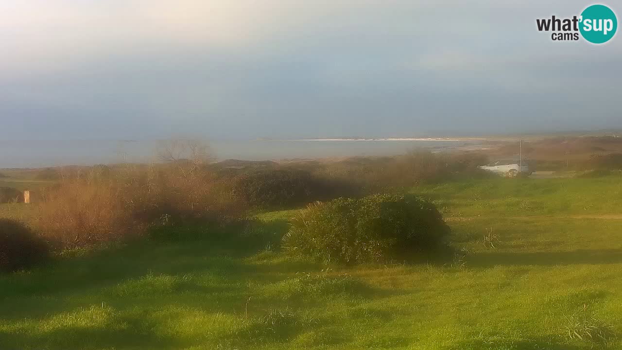 Playa Mari Ermi | Is Arutas – Oristano