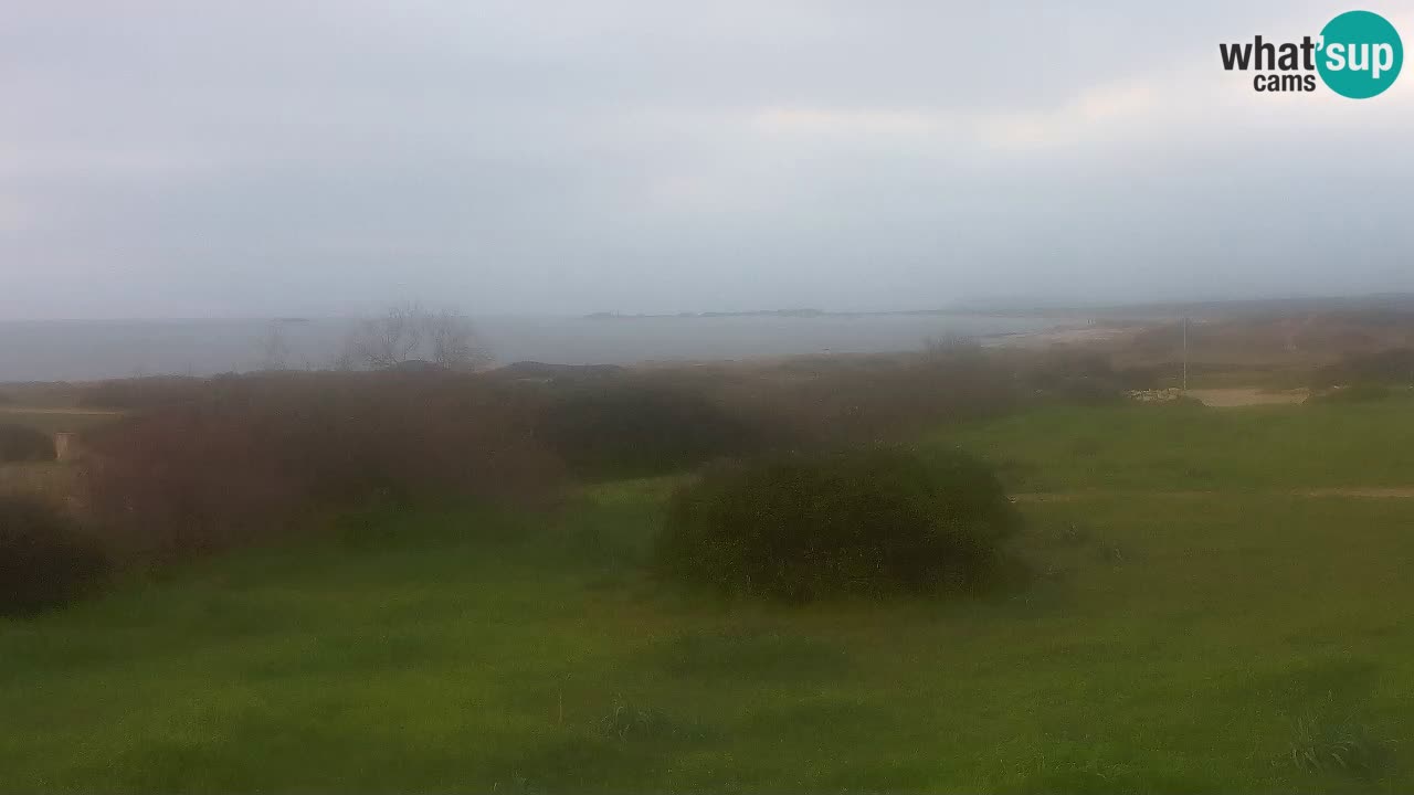 Plaža Mari Ermi | Is Arutas – Oristano