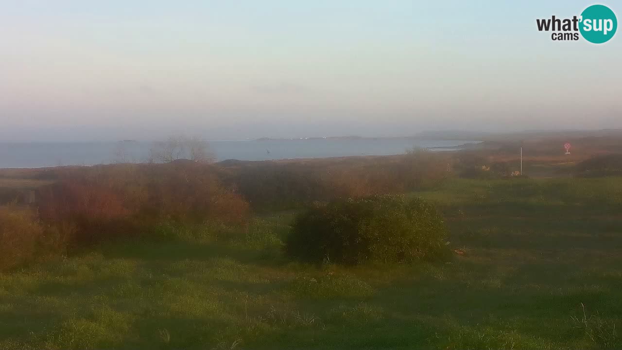 Mari Ermi Strand | Is Arutas – Oristano